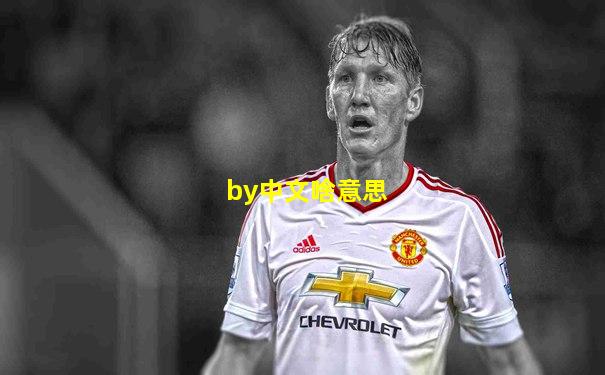 by中文啥意思