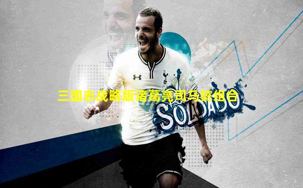 三国志战略版诸葛亮司马懿组合