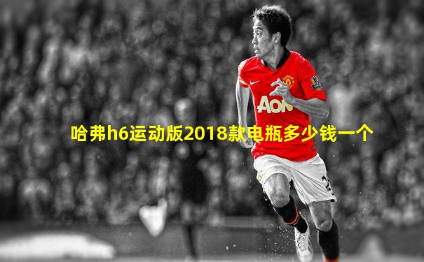 哈弗h6运动版2018款电瓶多少钱一个