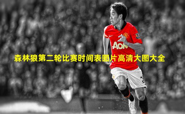 森林狼第二轮比赛时间表图片高清大图大全