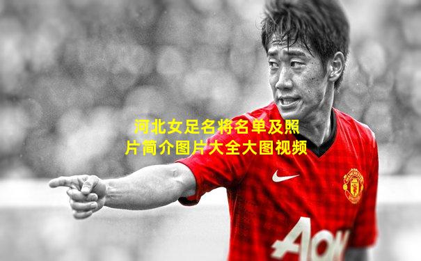 河北女足名将名单及照片简介图片大全大图视频