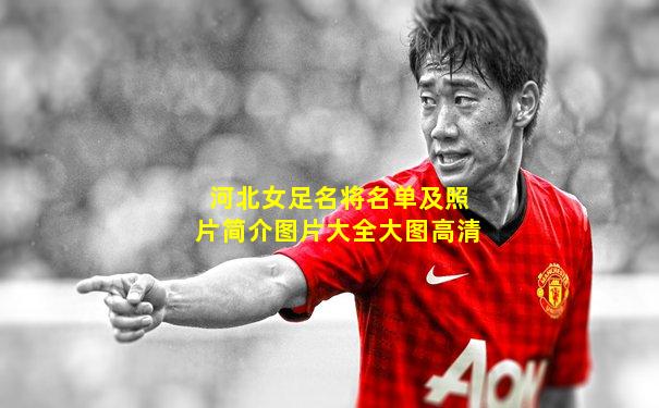 河北女足名将名单及照片简介图片大全大图高清