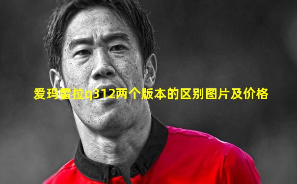 爱玛雷拉q312两个版本的区别图片及价格