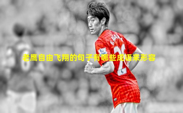 老鹰自由飞翔的句子有哪些成语来形容