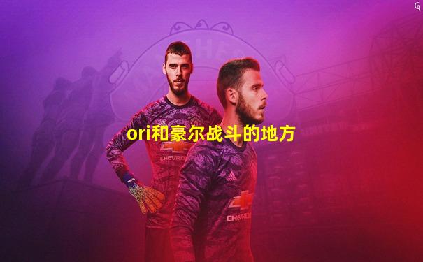 ori和豪尔战斗的地方