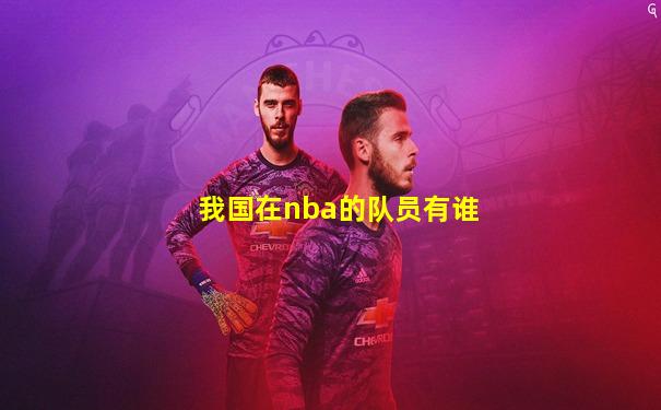 我国在nba的队员有谁